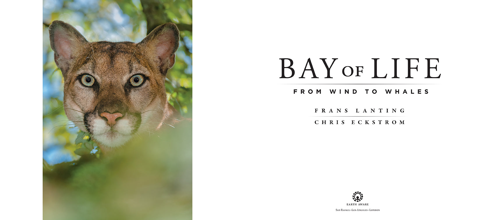Bay of Life - Premium Organic Skincare & Beauty Products for Radiant Skin | Natural Face Creams, Serums & Body Care for Daily Hydration & Anti-Aging