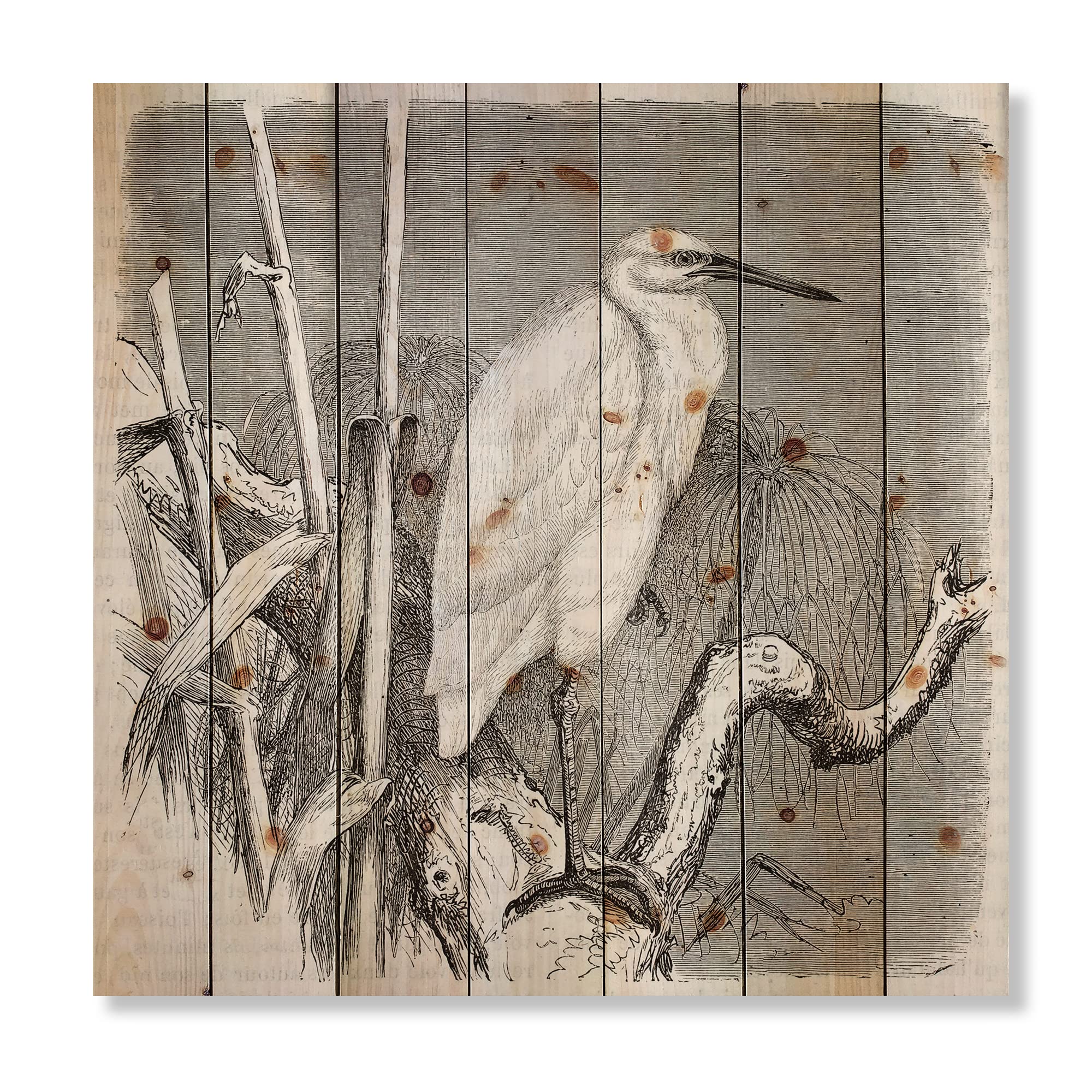 DesignQ Little Egret Bird Farmhouse Wood Wall Decor - Grey Wooden Wall Art with Large Animal Prints on Natural Pine - Perfect for Rustic Home, Cabin & Farmhouse Interior Decor