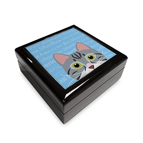 American Shorthair