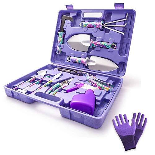11 pieces set