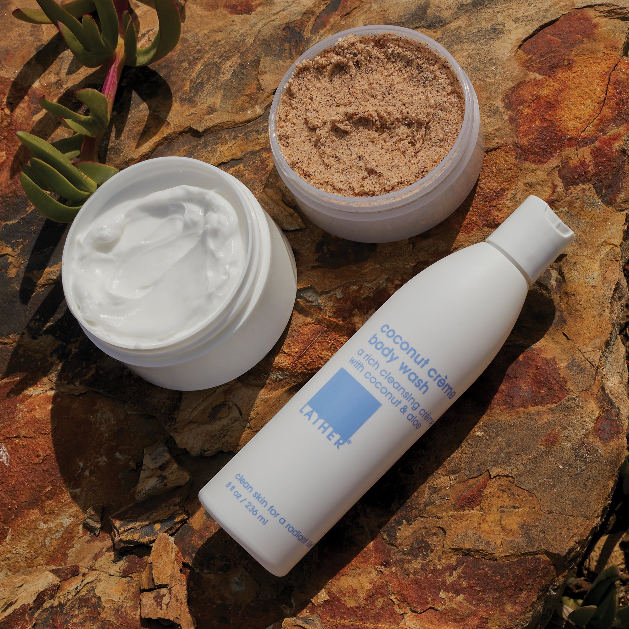 Organic Coconut Crème Body Whip - Ultra Hydrating & Nourishing Body Butter for Dry Skin - Perfect for Daily Moisturizing, After Shower Care & Spa Treatments