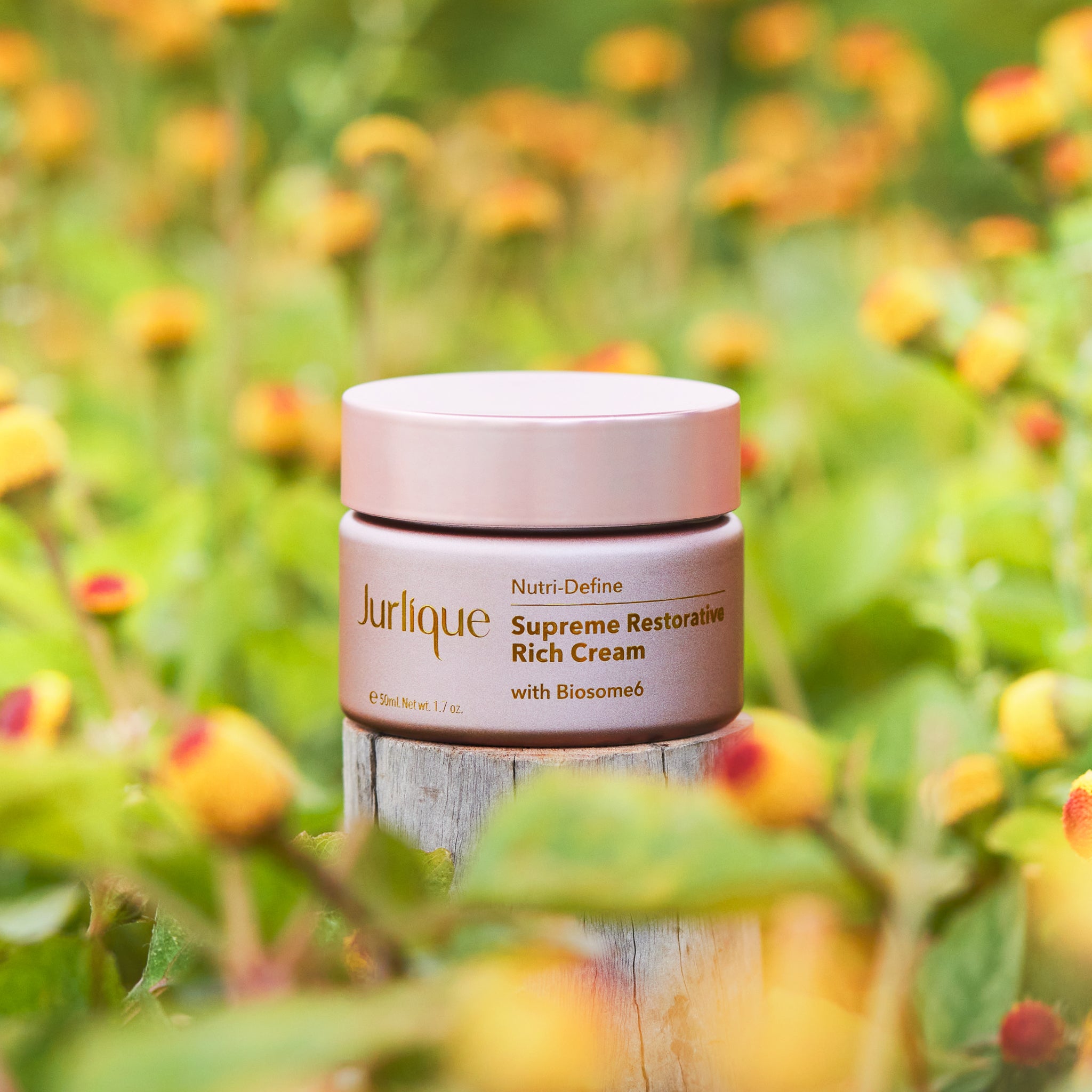 Nutri Define Supreme Restorative Rich Cream - Anti-Aging Face Moisturizer for Dry Skin with Hyaluronic Acid & Collagen - Perfect for Night Skincare Routine & Daily Hydration