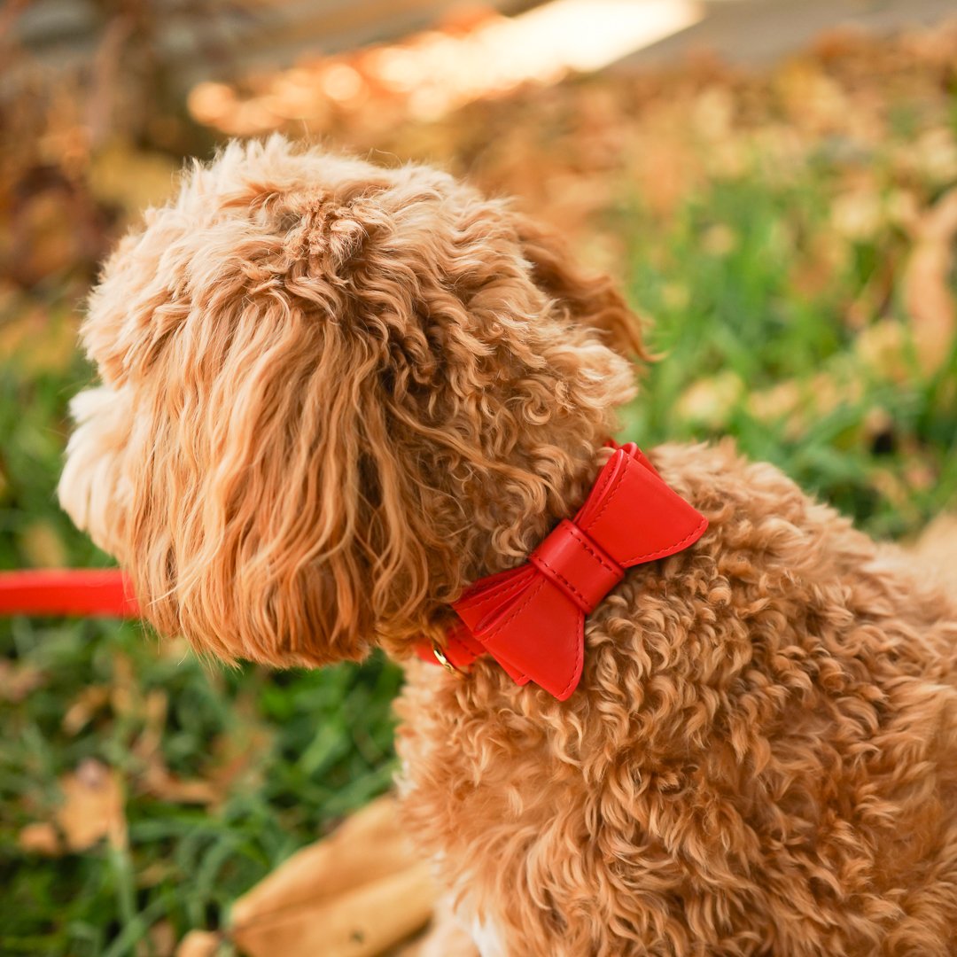 Stylish Red Leather Dog Bow Tie for Small Medium Large Dogs - Perfect for Weddings, Parties & Photo Shoots