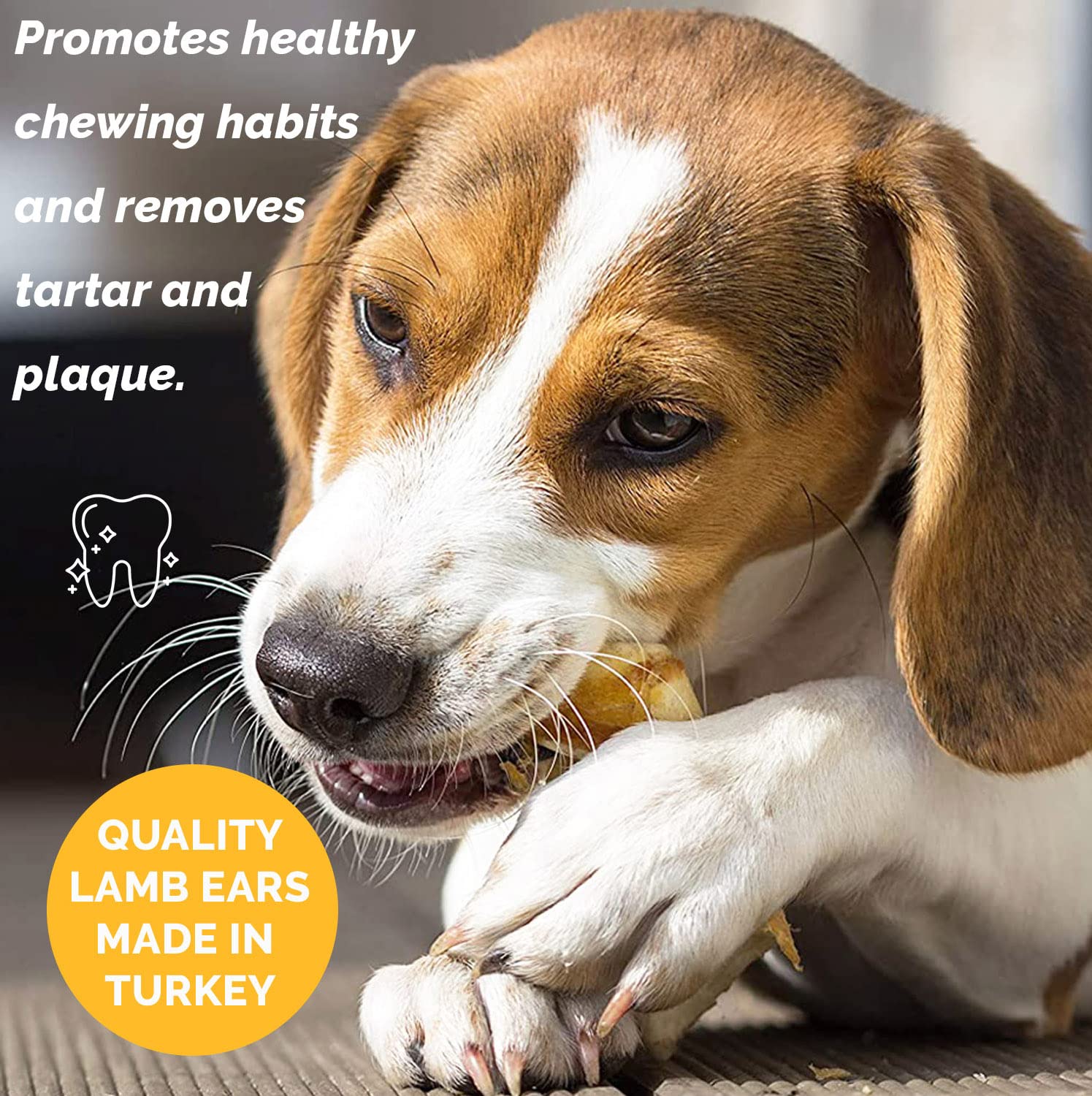 Premium Free-Range Lamb Ear Dog Chews - All Natural, Healthy Dog Treats for Small & Large Breeds (10 Count) - Perfect for Training, Dental Health & Long-Lasting Chewing