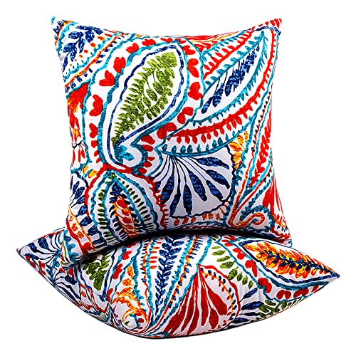 Paisley Print
