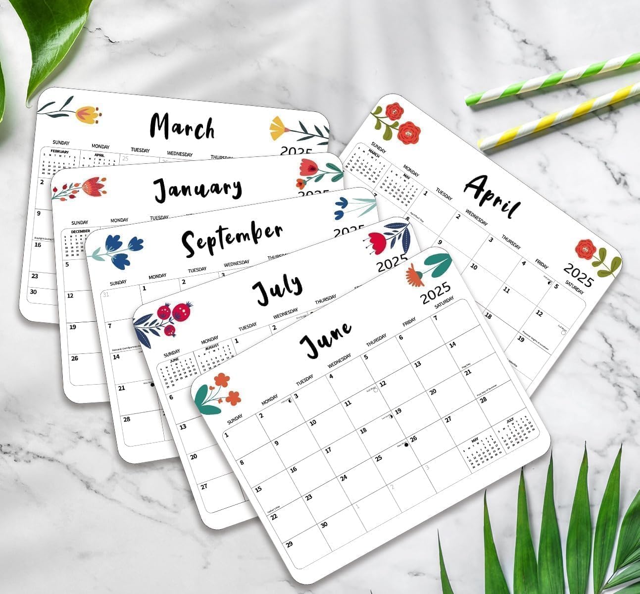 2025 Magnetic Refrigerator Calendar - 12 Month Dry Erase Wall Planner (8