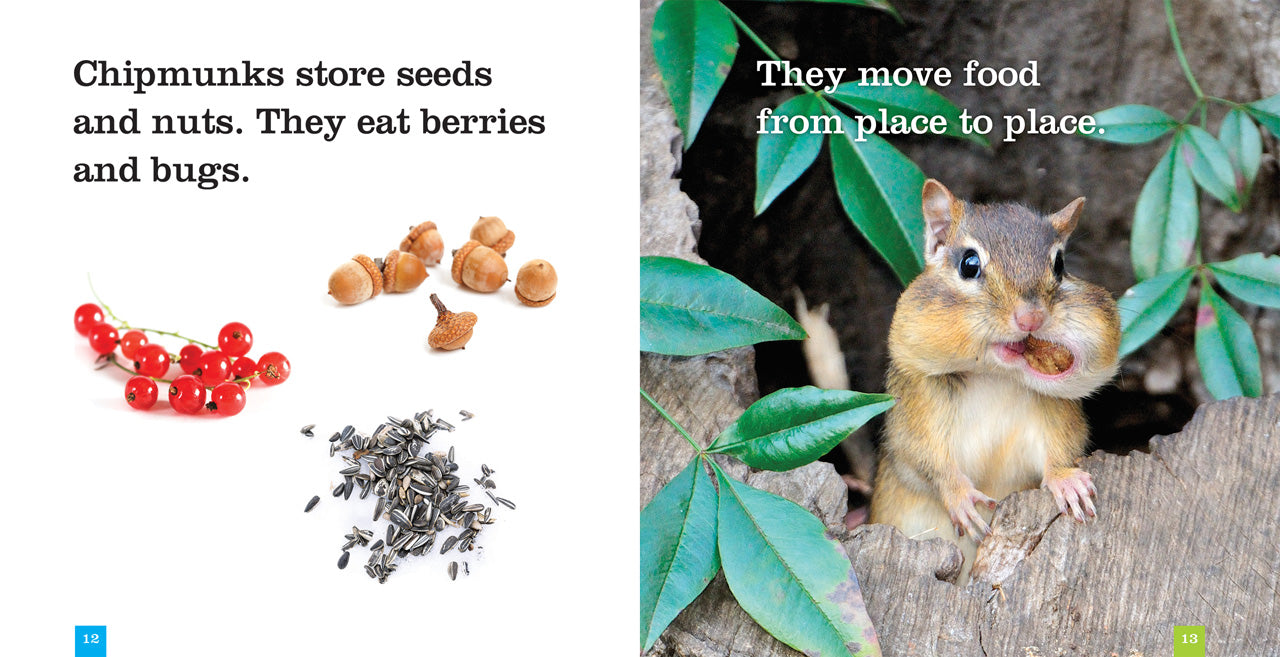 Chipmunks Book 9781608189694 - Fun Animal Story for Kids, Perfect for Bedtime Reading & Classroom Learning