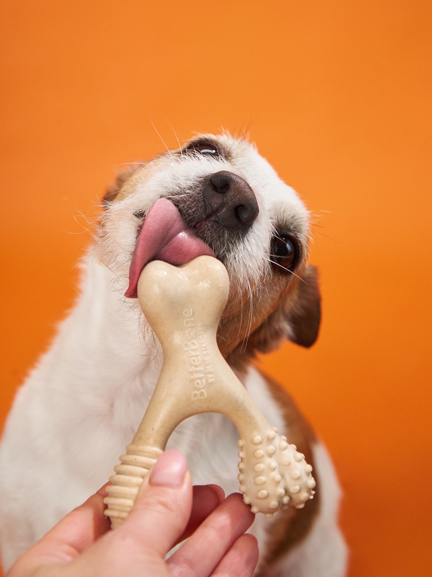 BetterBone MEDIUM Beef Flavor Dog Chew Bone - Natural & Healthy Rawhide Alternative for Dogs - Perfect for Teething, Dental Health & Anxiety Relief - Great for Medium Dogs 20-50 lbs