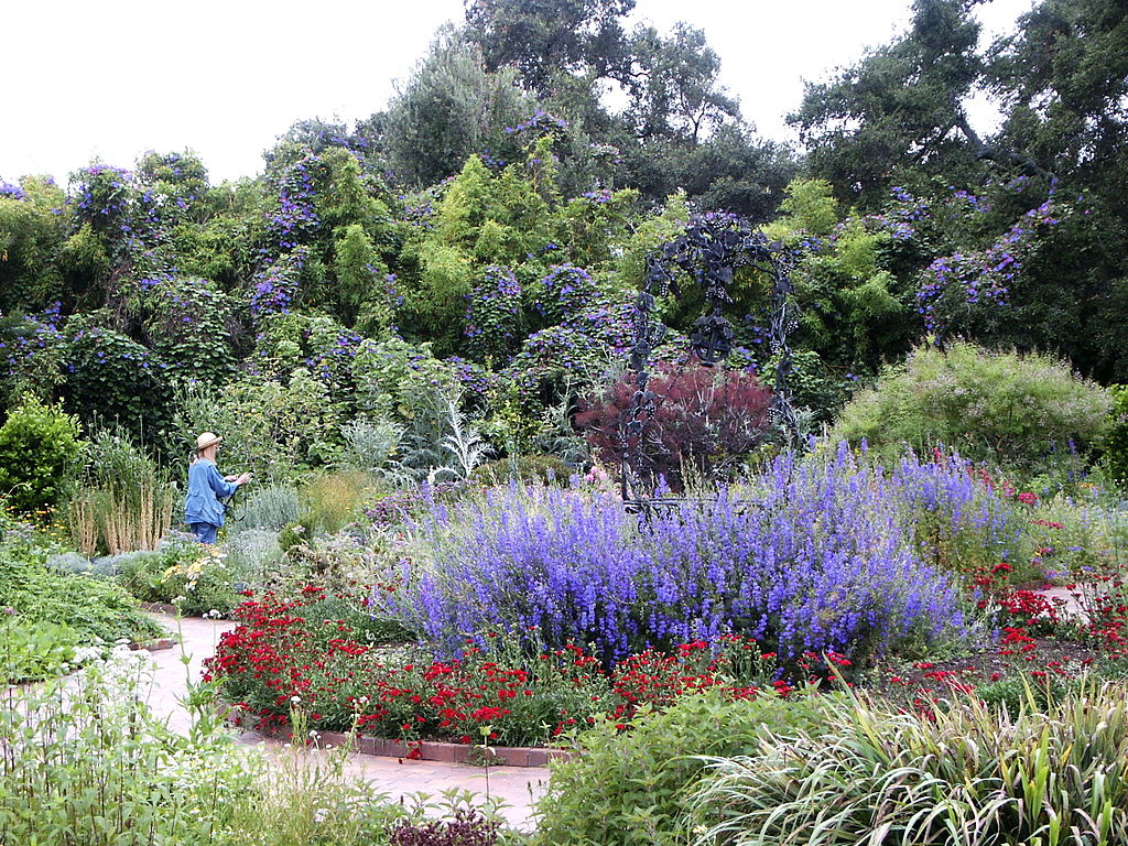 2022 Mount Wilson Observatory Star Party & Huntington Library Group Tour Tickets - Stargazing & Botanical Garden Experience