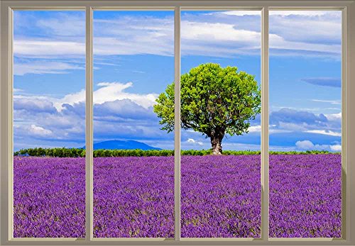 Purple Field of Flowers