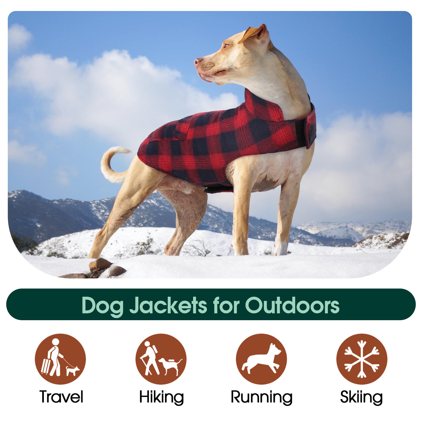 Kuoser Reversible Dog Winter Coat - Windproof & Warm British Style Puppy Jacket for Small, Medium & Large Dogs - Red (Perfect for Cold Weather Walks & Outdoor Adventures)