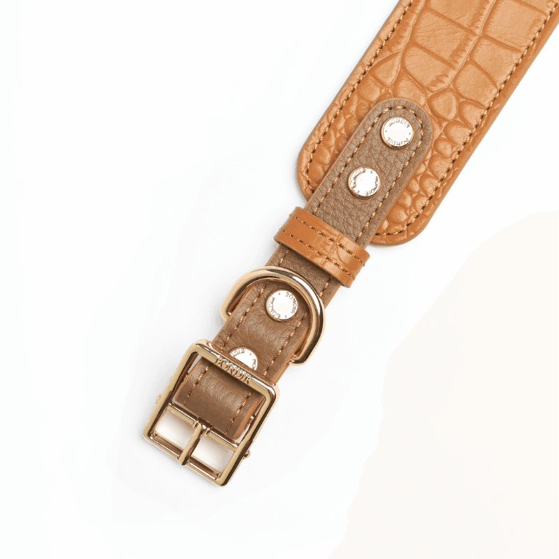 Premium Genuine Amber Leather Dog Collar - Adjustable & Durable Pet Accessory for Small to Large Dogs - Perfect for Walks, Training & Outdoor Adventures