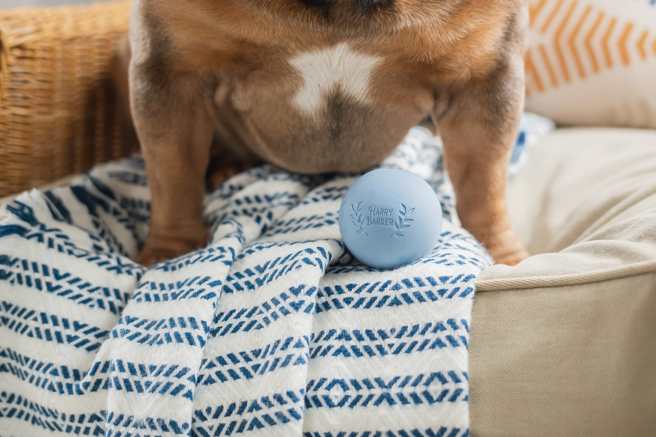 Harry Barker Durable Rubber Balls and Chew Toys for Dogs - 6 Pack of 2.5