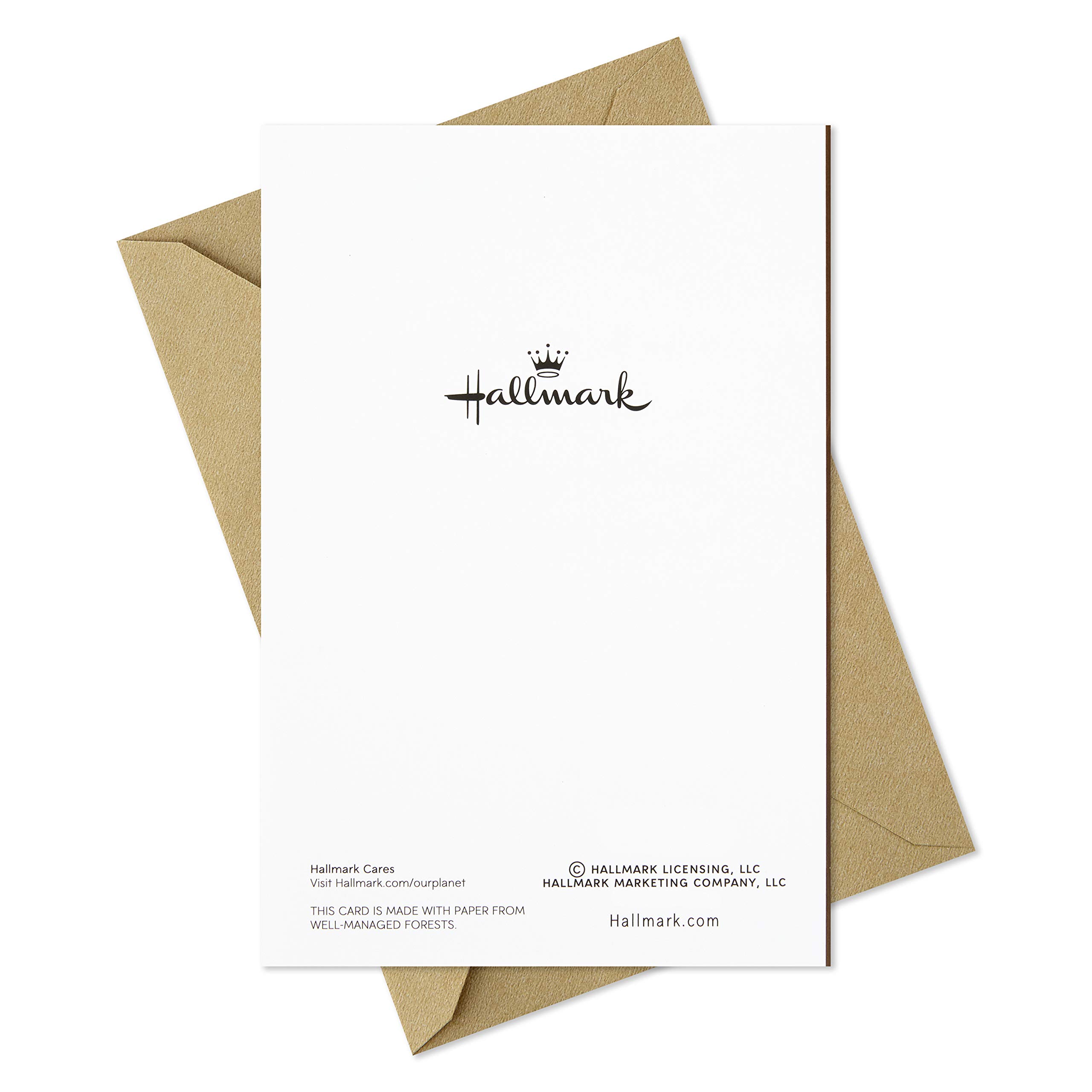 Hallmark Thanksgiving Greeting Cards - Rustic Wreath Design, 6 Cards with Envelopes for Holiday Wishes, Family Gatherings & Festive Celebrations