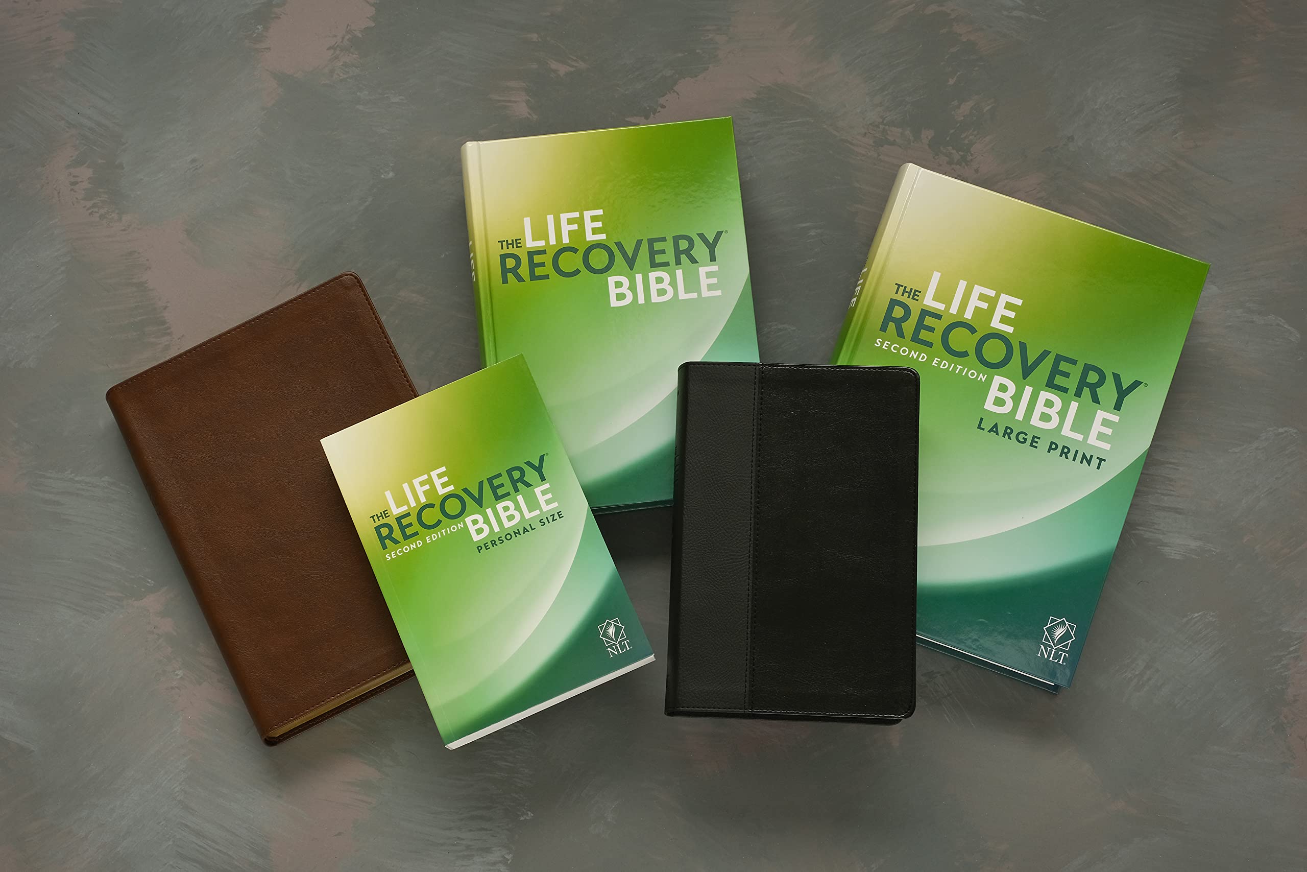 Life Recovery Bible, 2nd Edition Softcover – 12-Step Addiction Recovery Bible for Drugs, Alcohol & Personal Struggles with Meeting Guide | Christian Devotional, Support Groups & Spiritual Healing