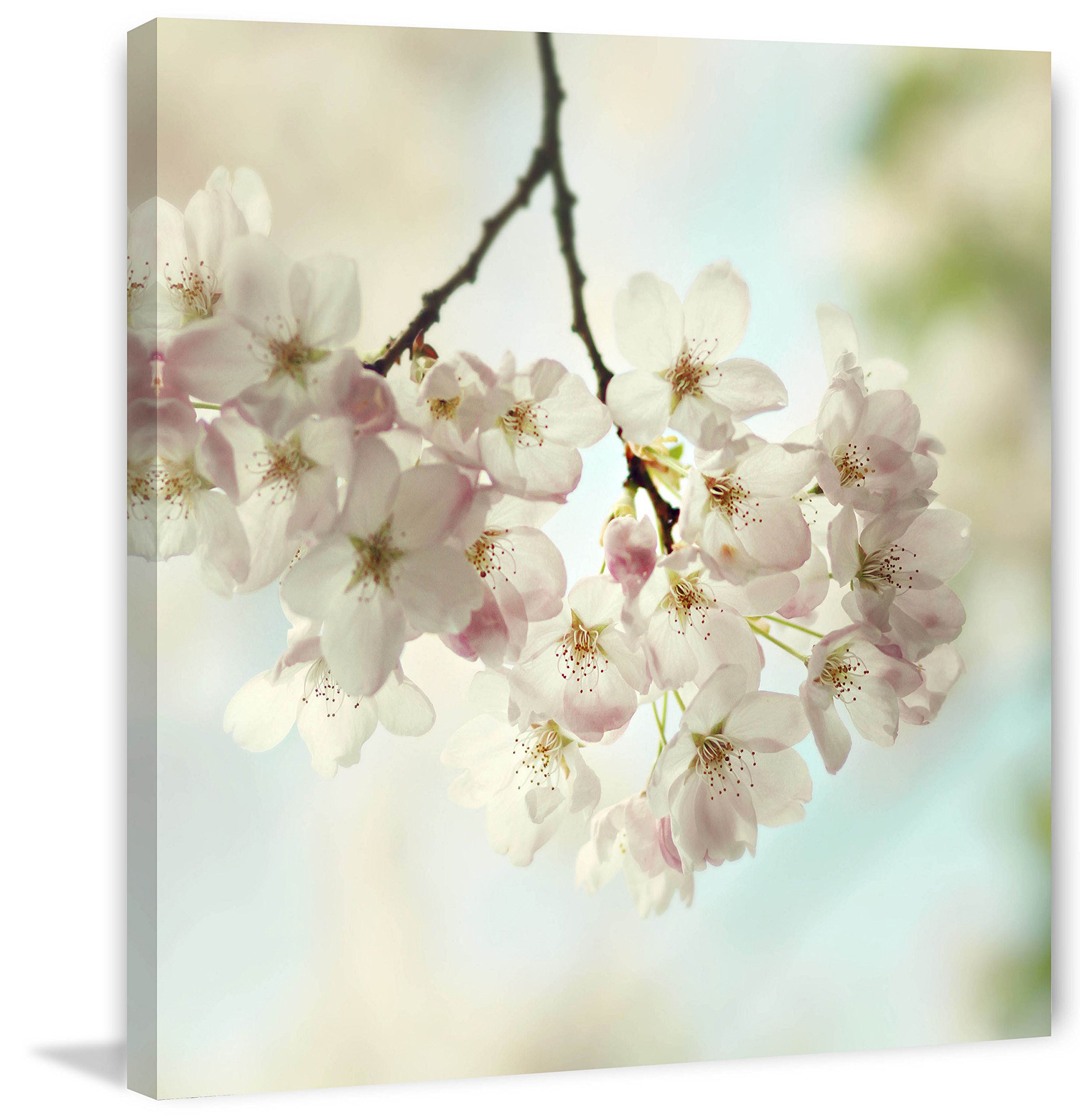 Spring Light Wall Art by Marmont Hill - 48x48 Inches Canvas Print for Living Room, Bedroom & Office Decor