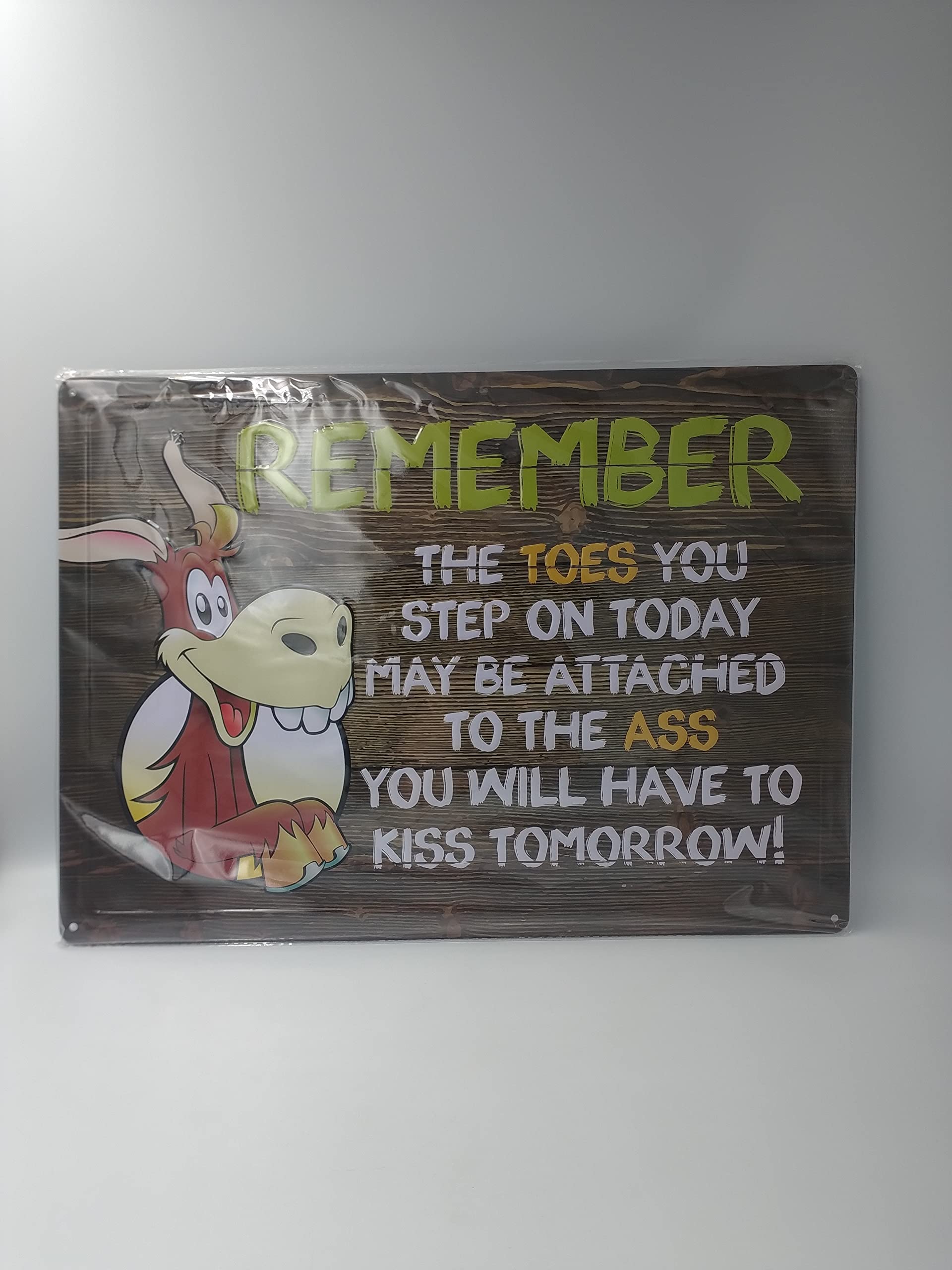 Funny Novelty Sign - 'The Toes You Step on Today' - Perfect for Office, Home Decor & Gag Gifts - Great for Coworkers, Bosses & Friends