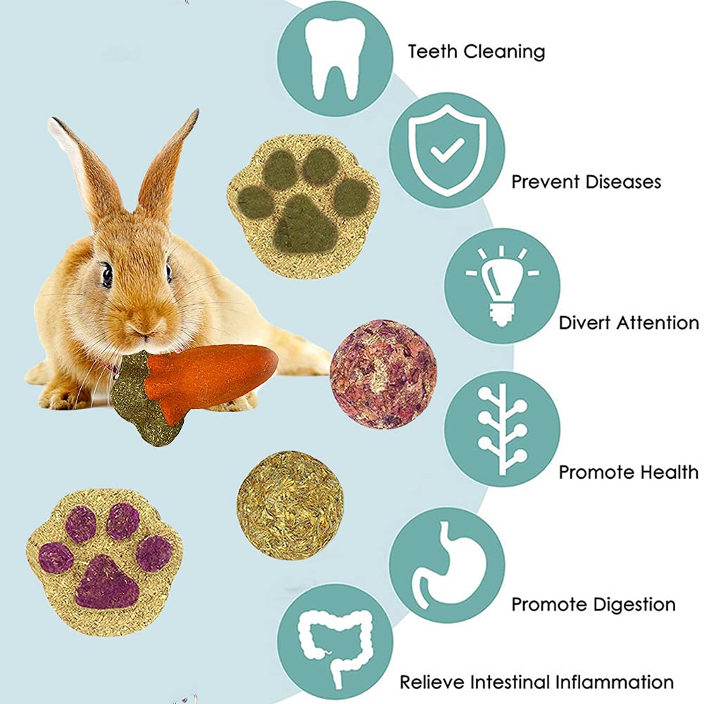 16PCS Small Animal Chew Toys for Hamsters, Guinea Pigs & Rabbits - Dental Care Rolling Balls for Teeth Grinding & Play - Perfect for Cages, Playpens & Exercise Time