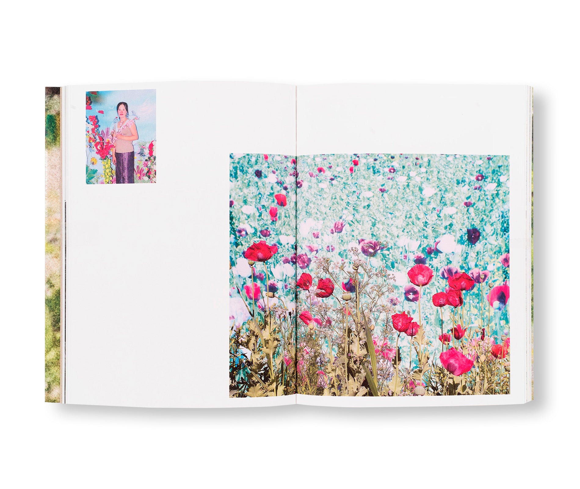 MY GRANDFATHER TURNED INTO A TIGER … AND OTHER ILLUSIONS by Pao Houa Her - Photography Book Exploring Hmong Identity & Cultural Myths - Perfect for Art Collectors & Asian American Studies