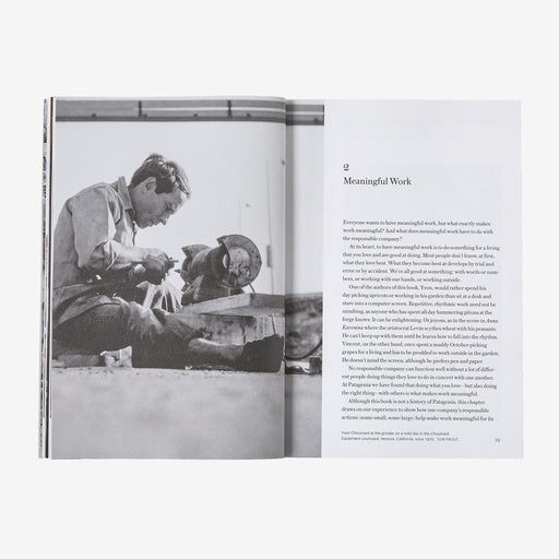 The Future of the Responsible Company: Lessons from Patagonia's First 50 Years by Yvon Chouinard & Vincent Stanley - Business Sustainability Book for Entrepreneurs & Eco-Conscious Leaders