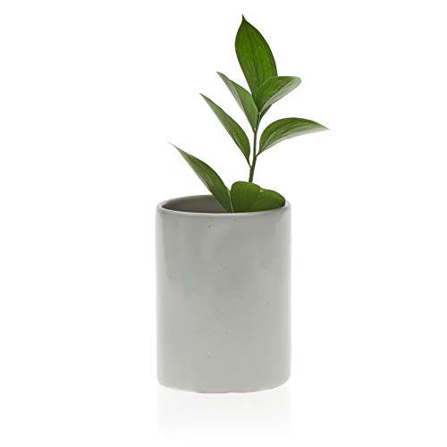 Cups (White, 12 oz)