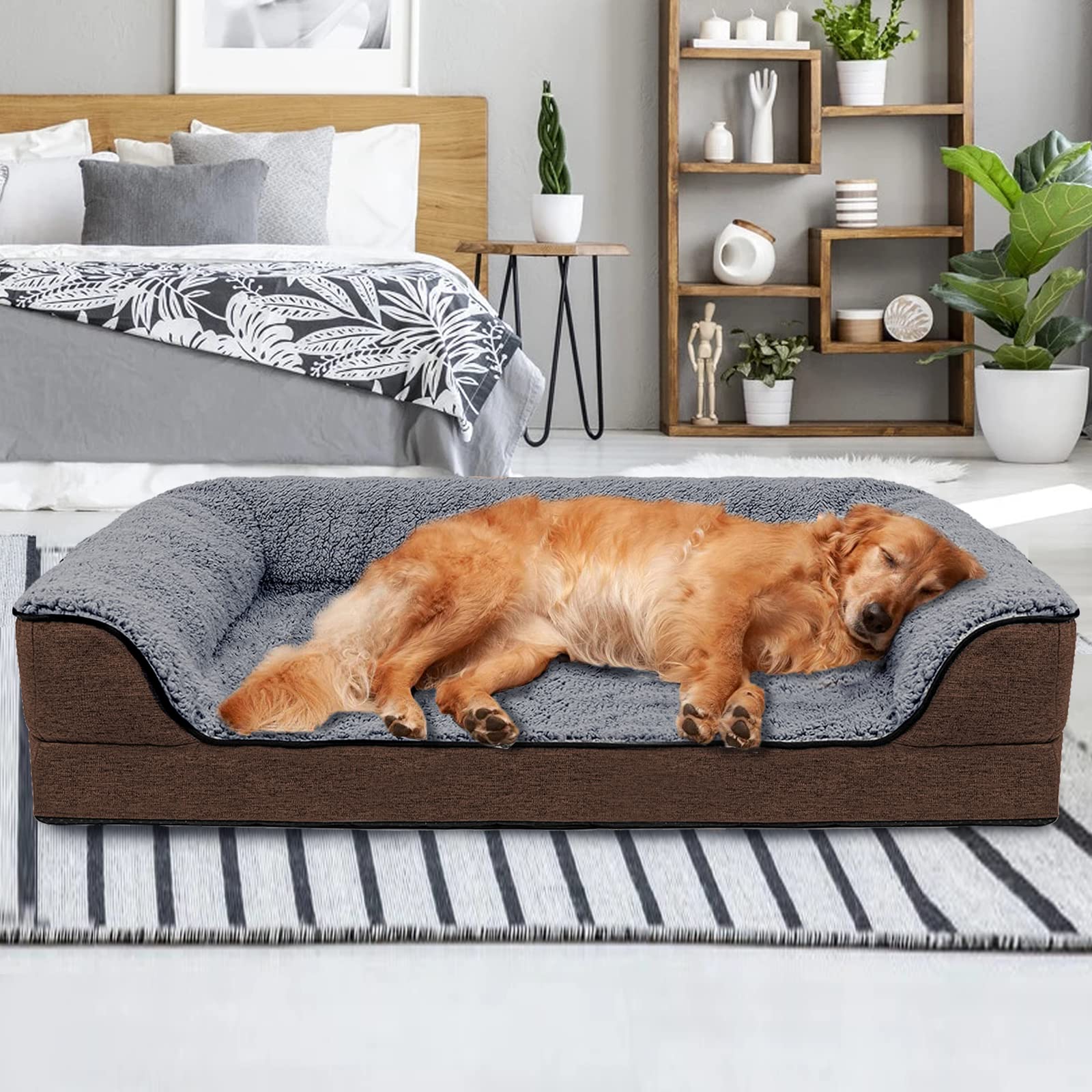 **ShellKingdom Orthopedic Dog Bed for Medium Dogs Under 30 lbs - Washable Removable Cover, Supportive Foam Pet Sofa Bed - Perfect for Indoor Use in Living Room, Bedroom & Crate**