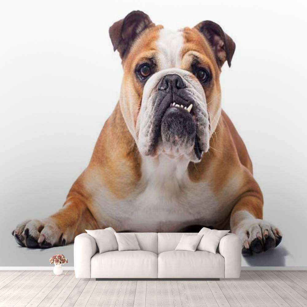3D Self-Adhesive English Bulldog Portrait Wallpaper - Peel & Stick Animal Wall Mural for Bedroom, Living Room, Dorm Decor - Easy DIY Wall, Ceiling & Wardrobe Sticker (Perfect for Pet Lovers & Home Office Background)