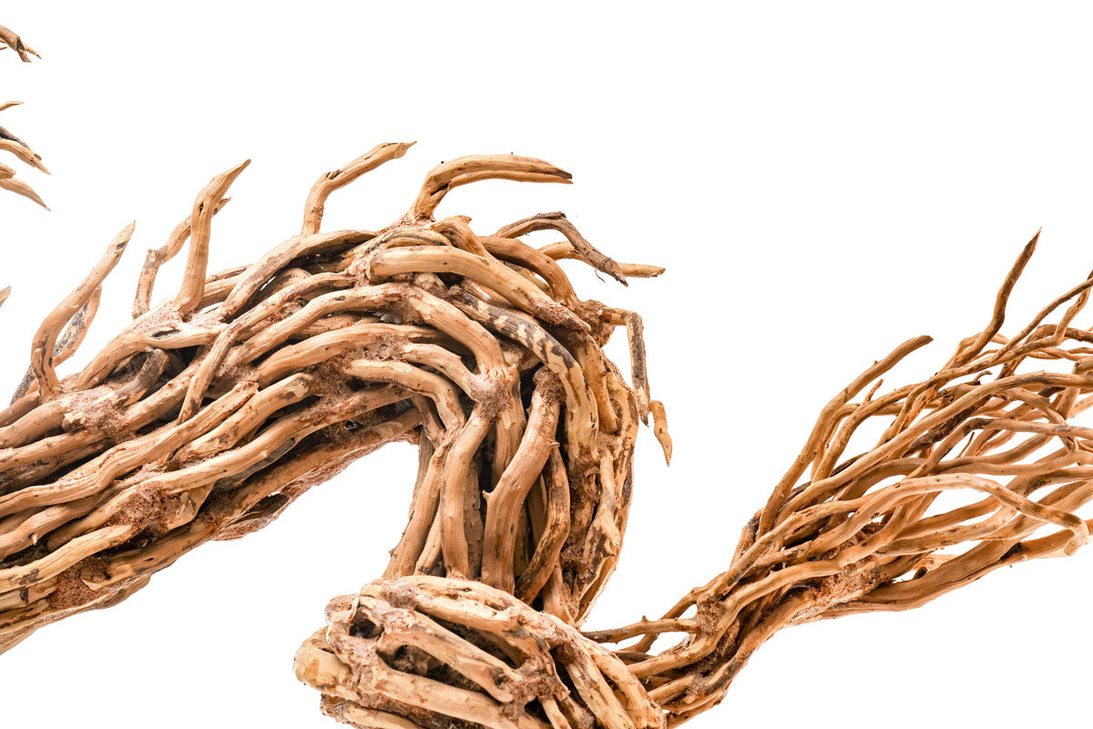 Premium Uns Bonsai 010 - Handcrafted Miniature Tree for Home & Office Decor | Perfect for Zen Gardens, Gifts, and Indoor Plant Lovers