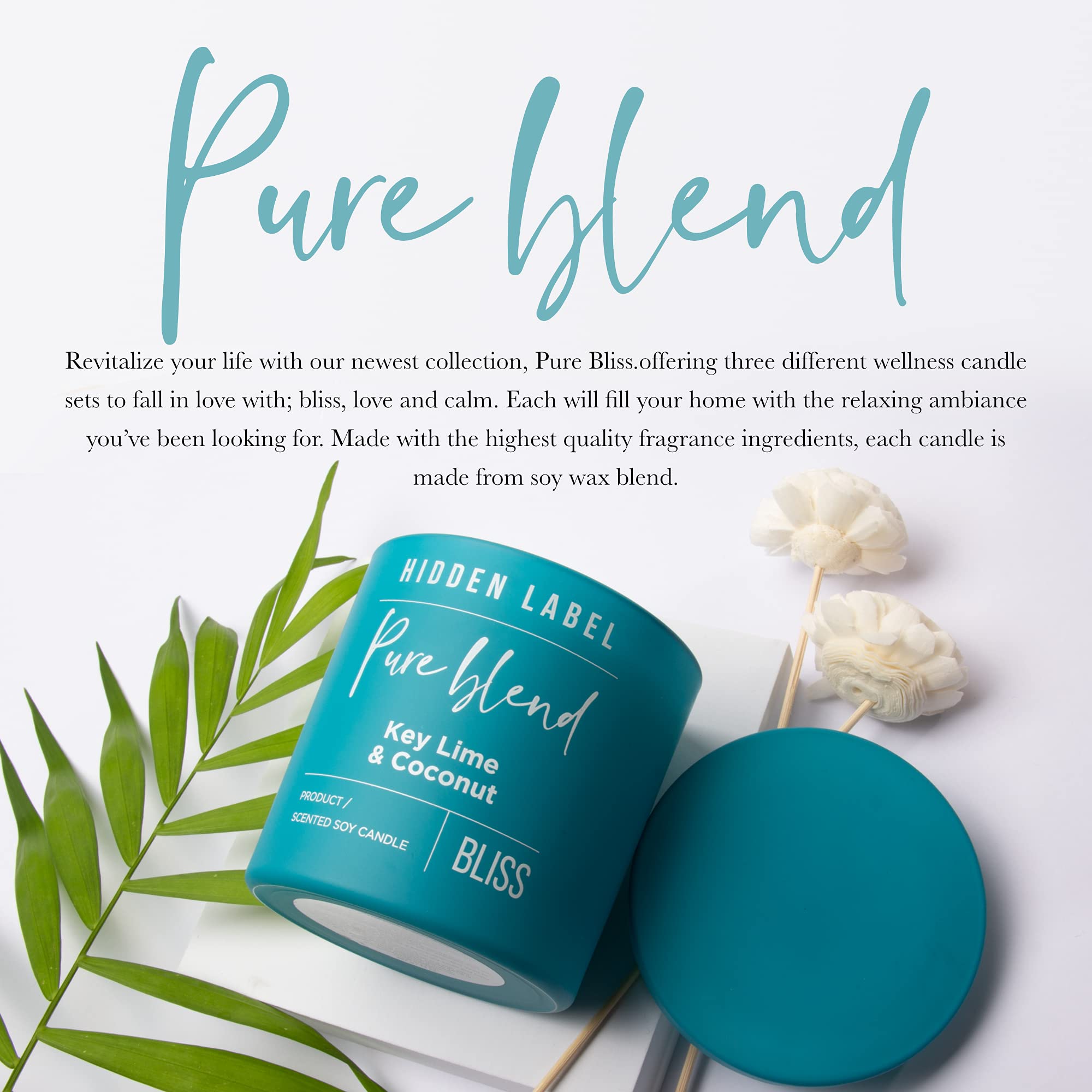 Key Lime Coconut Scented Soy Candle - 14oz 2 Wick for Home & Gifts