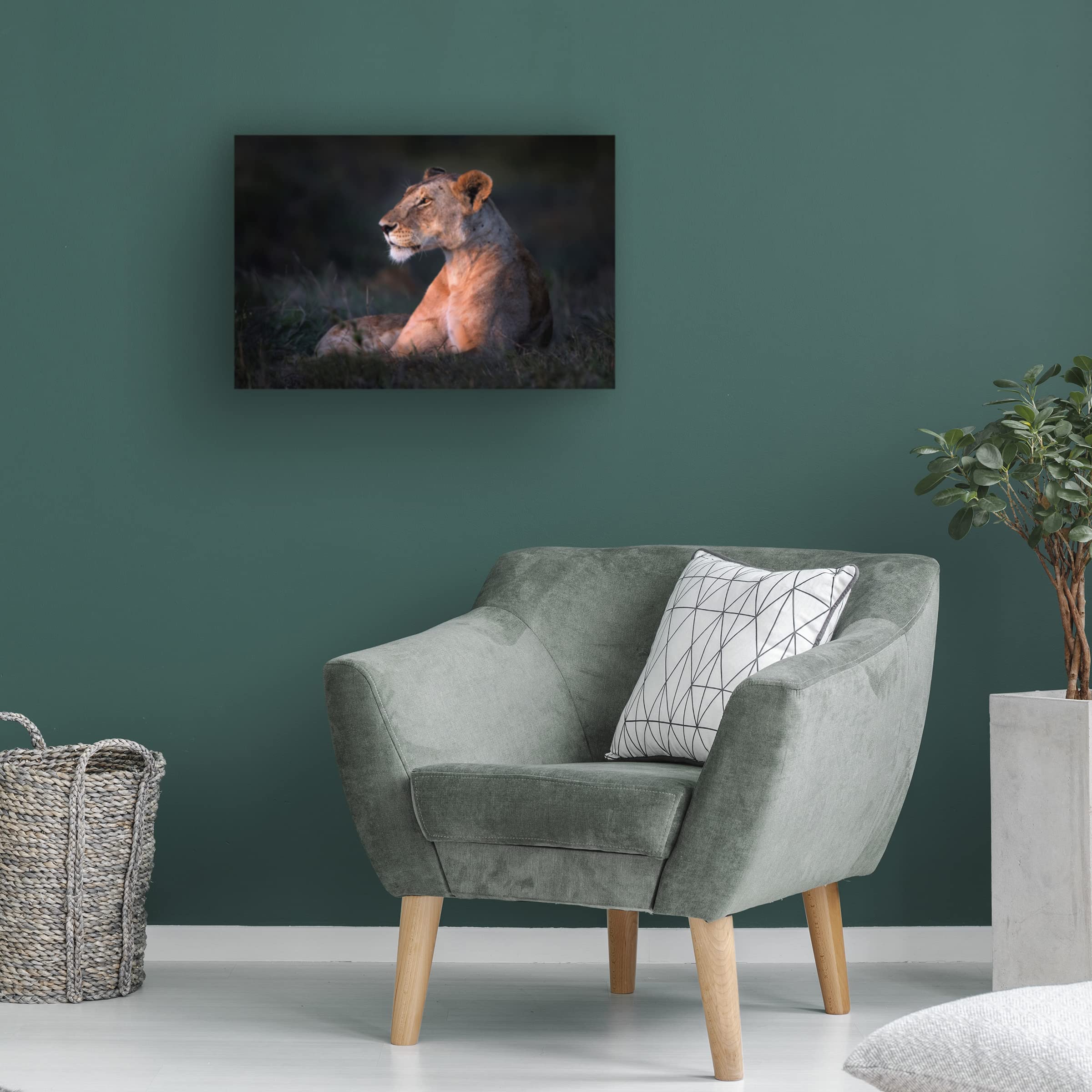 Xavier Ortega 'Lone Lioness' Canvas Wall Art Print - Wildlife Lion Painting for Living Room, Bedroom & Office Decor