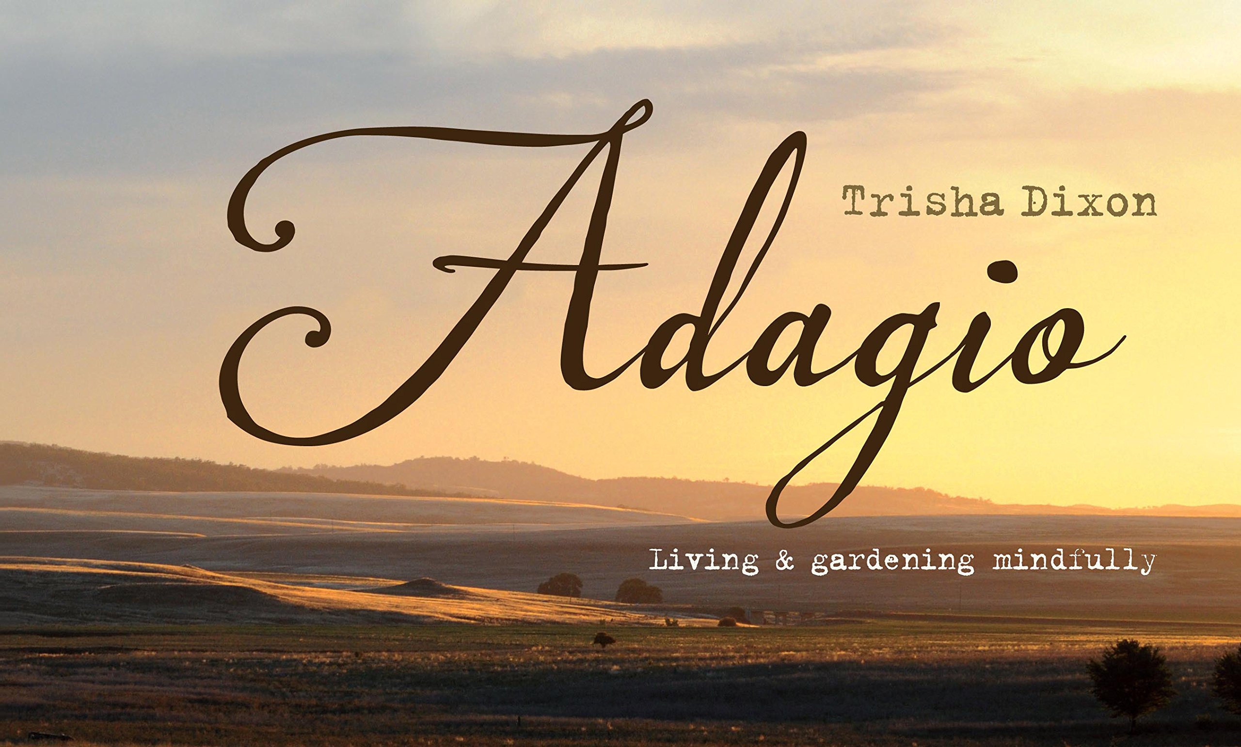 Adagio: Mindful Living & Gardening Essentials for Home, Outdoor & Wellness Spaces | Perfect for Meditation Gardens, Indoor Plants & Relaxation