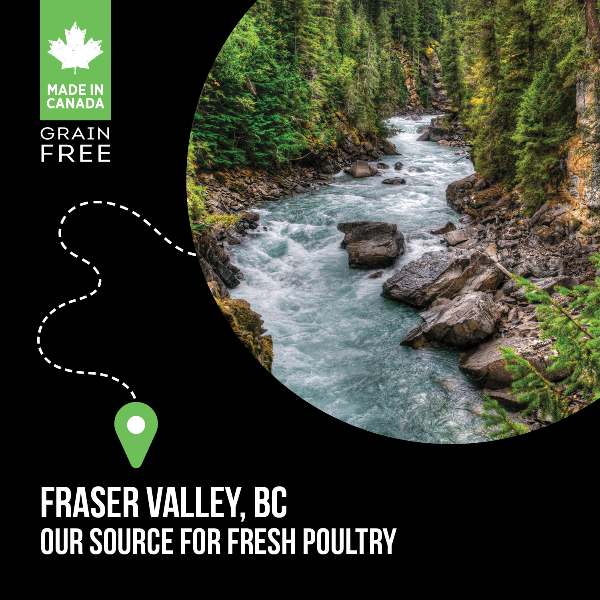 Nutrience SubZero Healthy Puppy Dry Dog Food - Fraser Valley Recipe | High Protein Grain-Free Kibble for Puppies | Perfect for Active Dogs & Training Treats