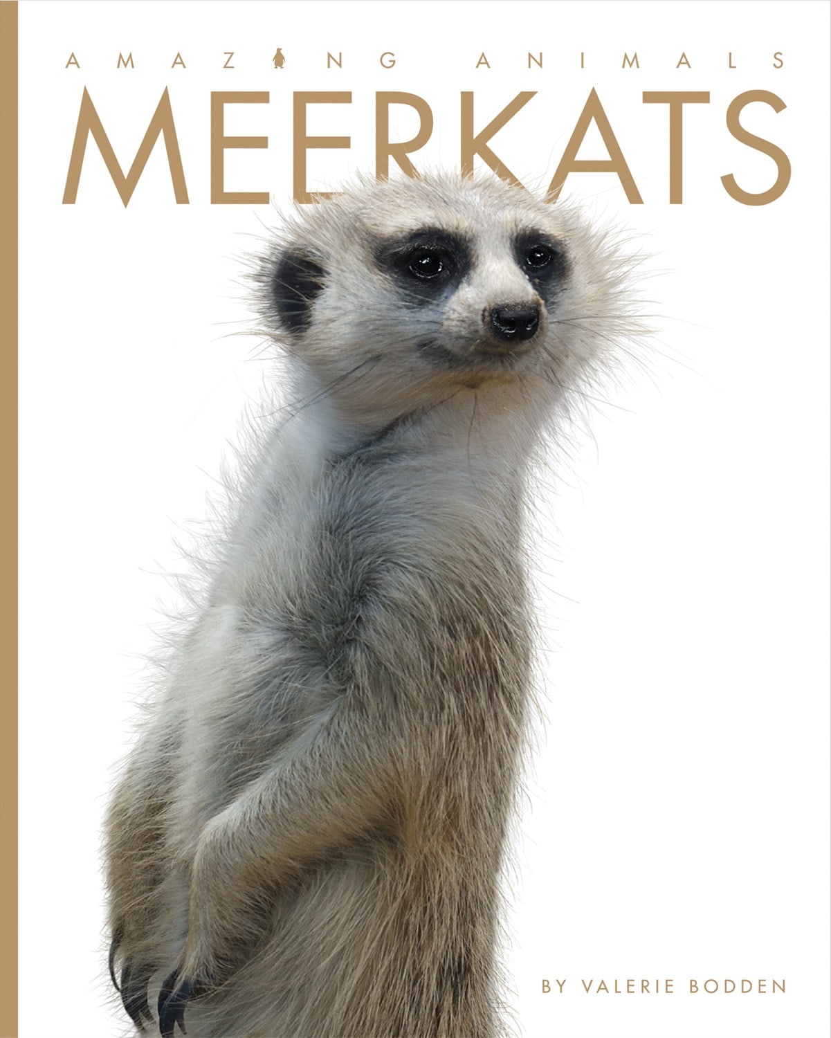 Amazing Animals (2014): Meerkats Documentary - Wildlife Nature Film for Animal Lovers & Educational Use in Schools