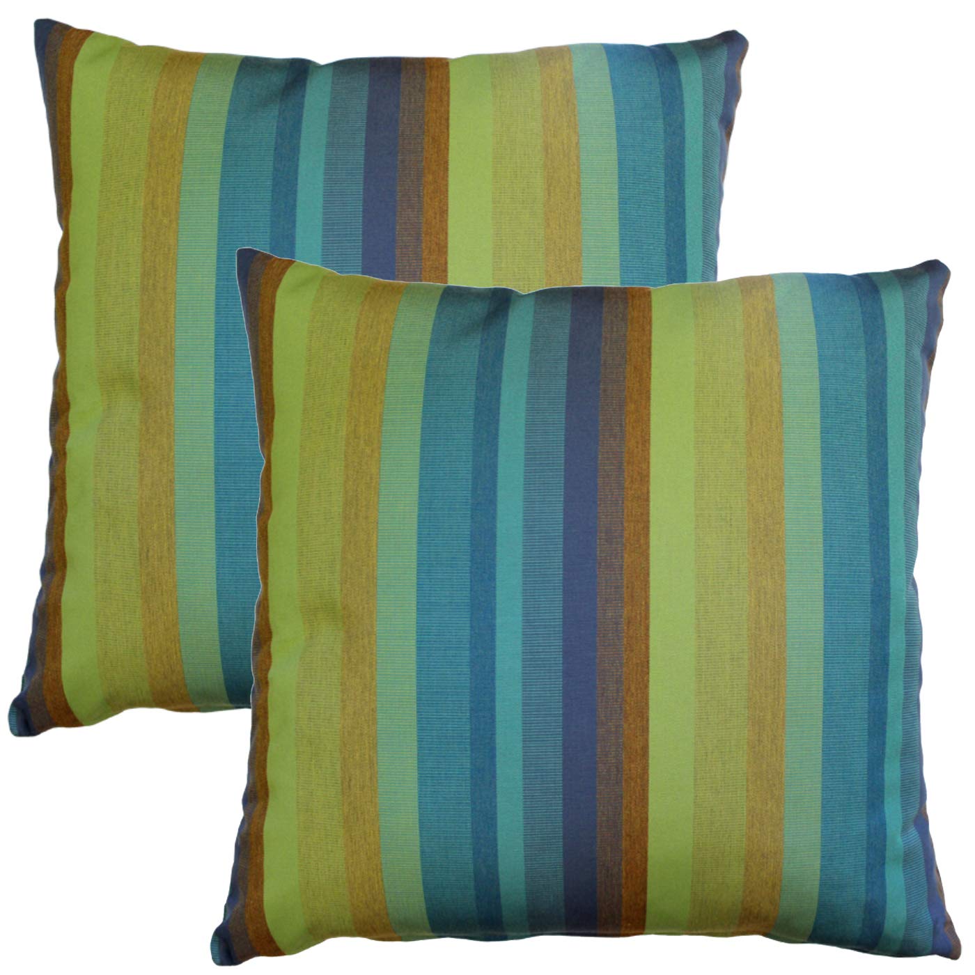 Sunbrella Outdoor Pillow Set of 2 (20