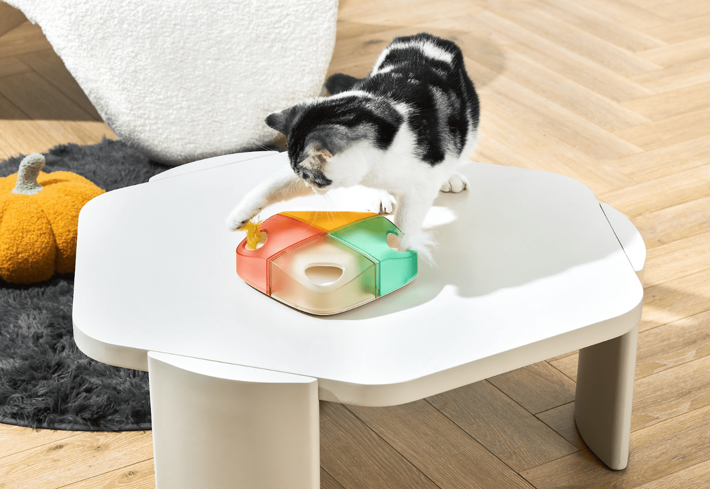 Interactive Feather Cat Toy - Rechargeable Automatic Motion-Activated Play Box for Indoor Cats - Fun Exercise & Hunting Simulation for Kittens & Adult Cats