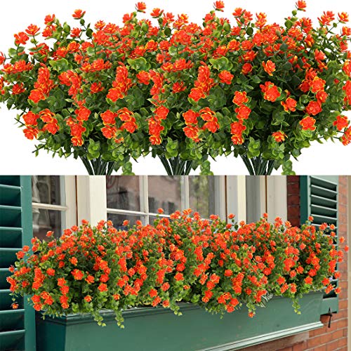 Orange Red