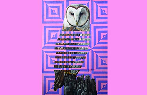 Owl Maze