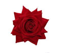 Artificial Rose Hair Clips - Red Rose Flower Hair Accessories (Pack of 1) for Women's Hairstyles, Bridal Hair Decor, Party & Wedding Accessories