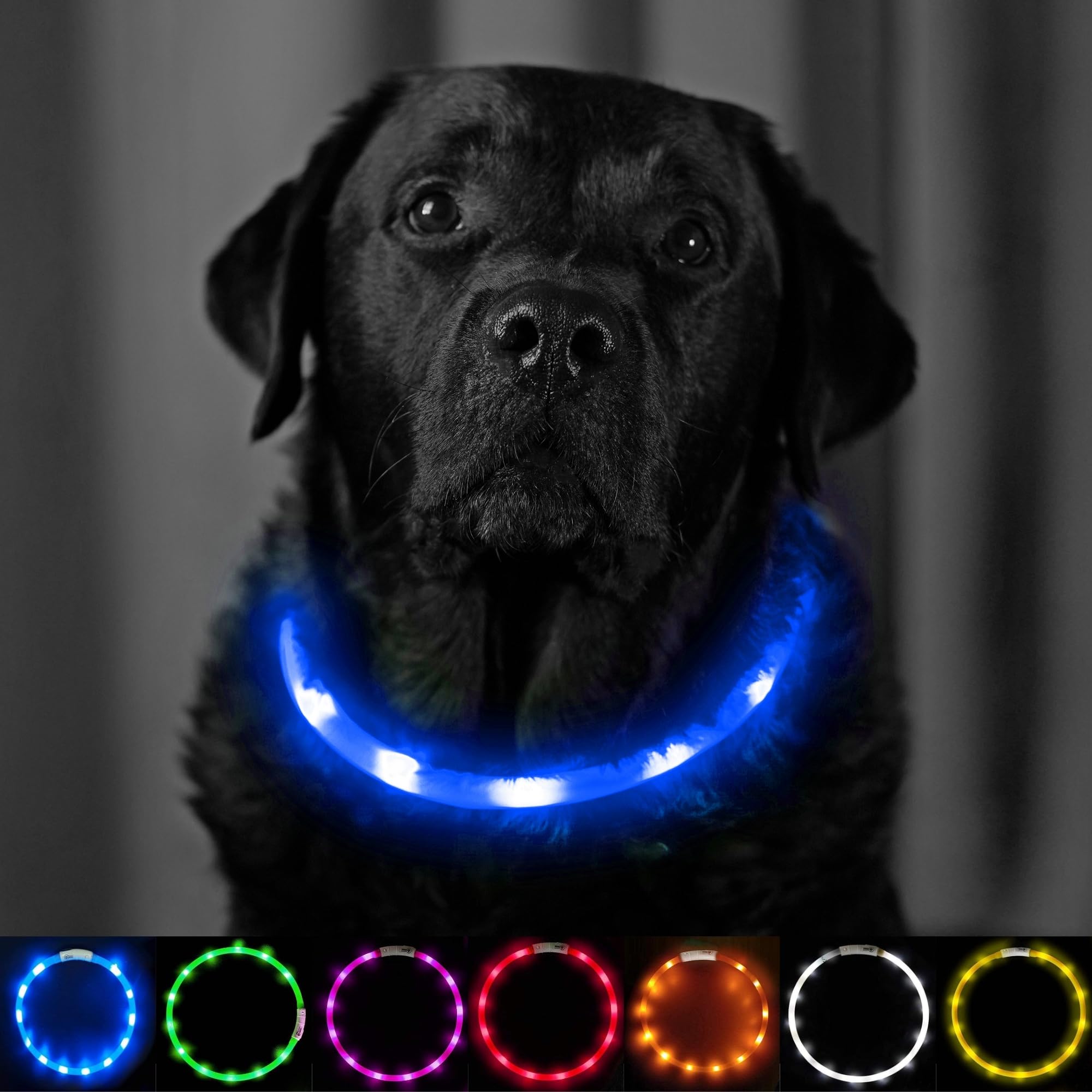 PetSol Ultra Bright USB Rechargeable LED Dog Safety Collar - Waterproof & Adjustable for Night Walking, Jogging, and Outdoor Adventures
