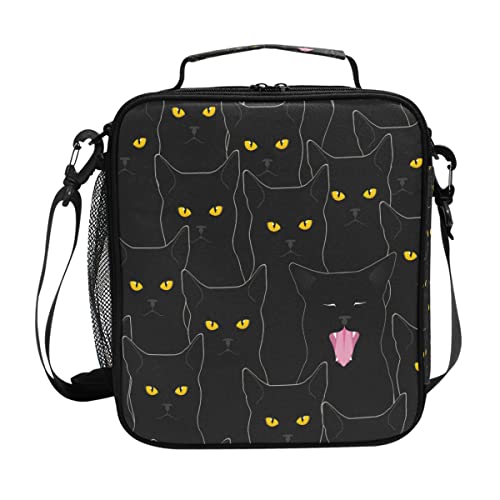 cat2