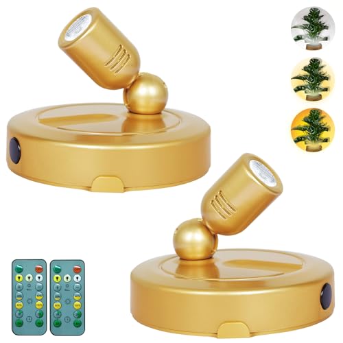 Gold-3CCT