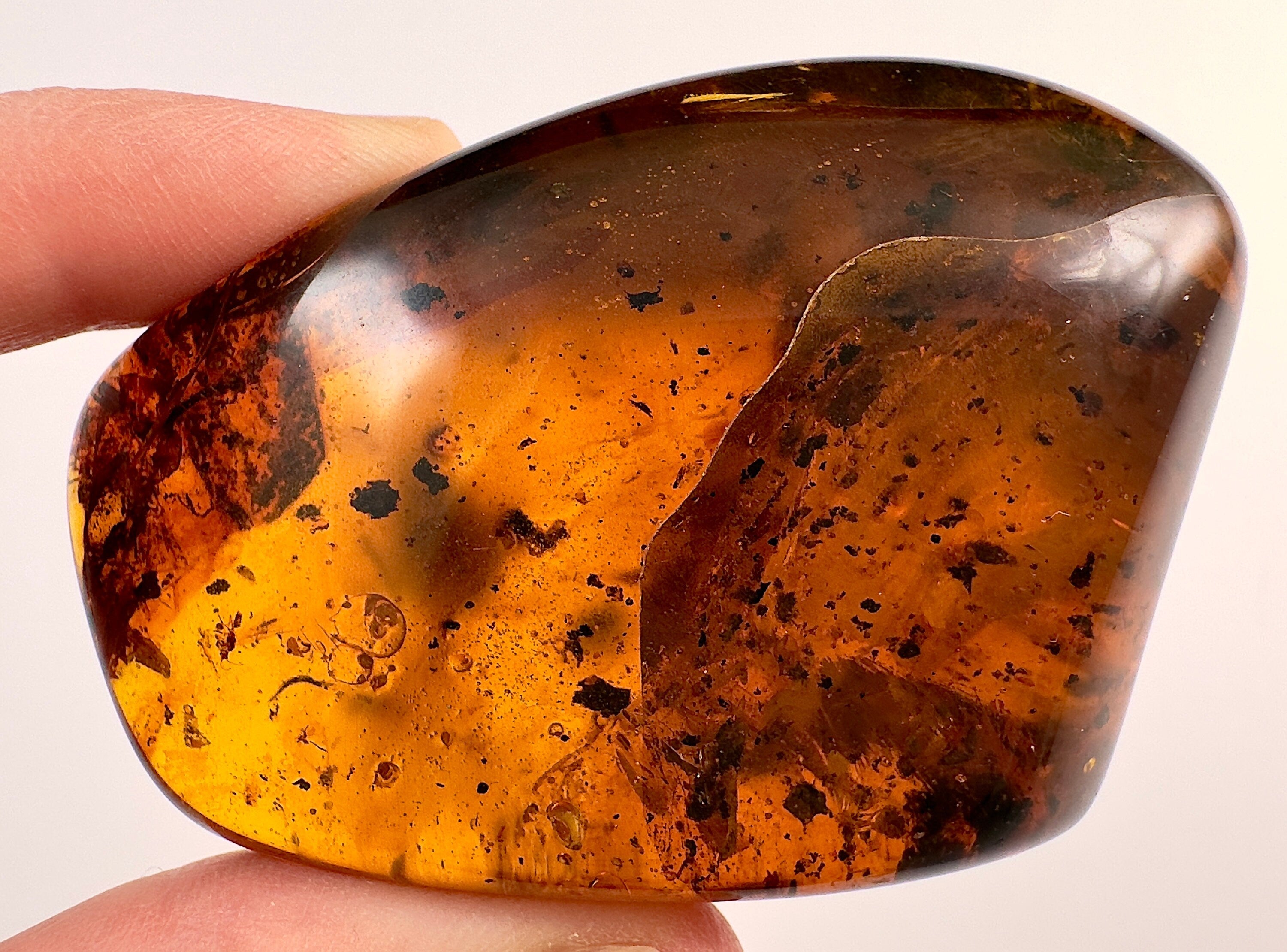 Natural Amber Stone with Insect Inclusion - Genuine Fossilized Tumbled Crystals for Healing & Collection | Perfect for Jewelry Making, Meditation & Home Decor