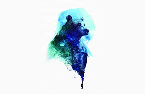 Spirit Bear