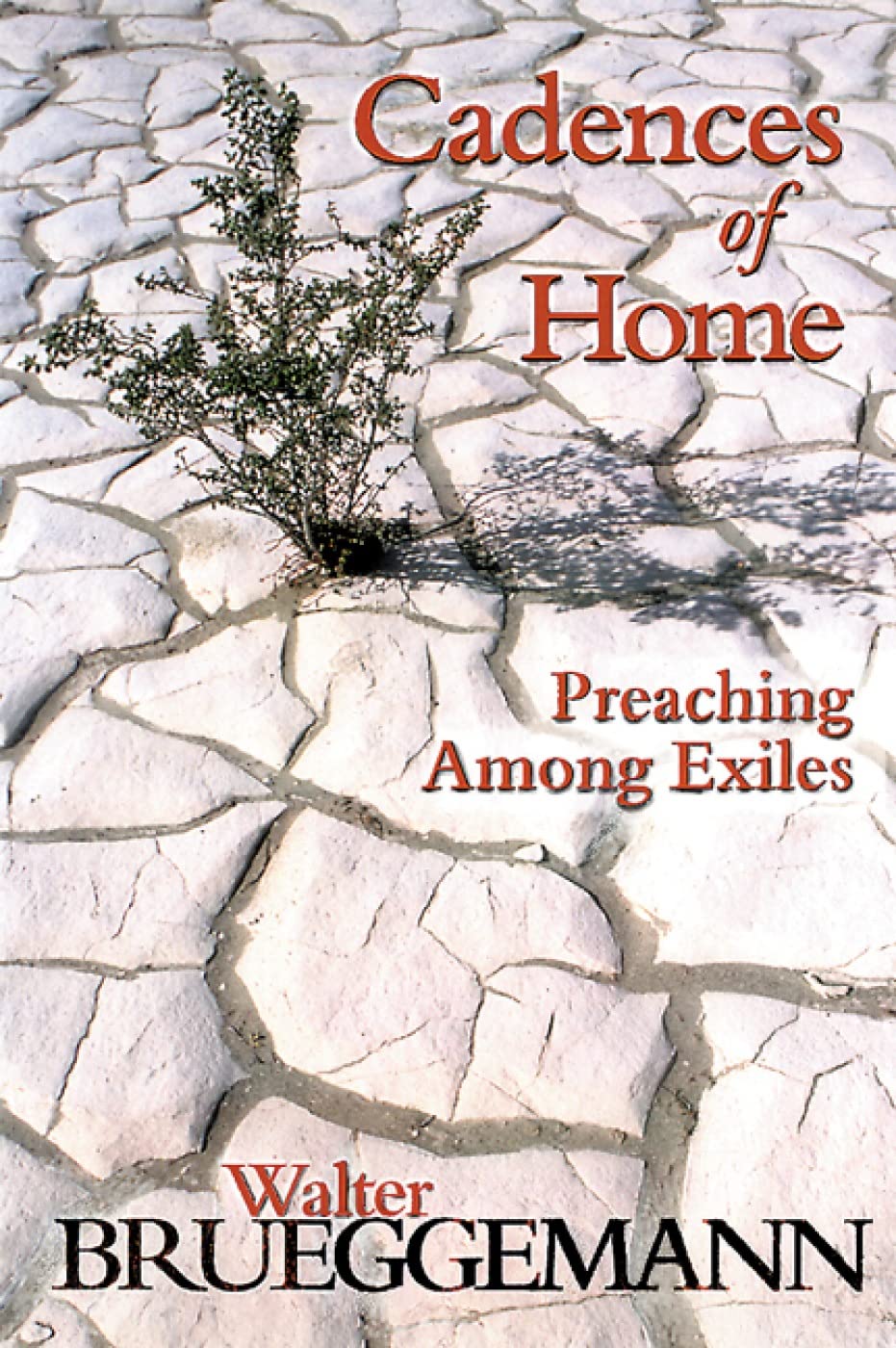 Best Sermon Books for Exiles - Cadences of Home: Inspirational Preaching Guide for Spiritual Growth & Comfort | Perfect for Pastors, Ministers & Church Leaders