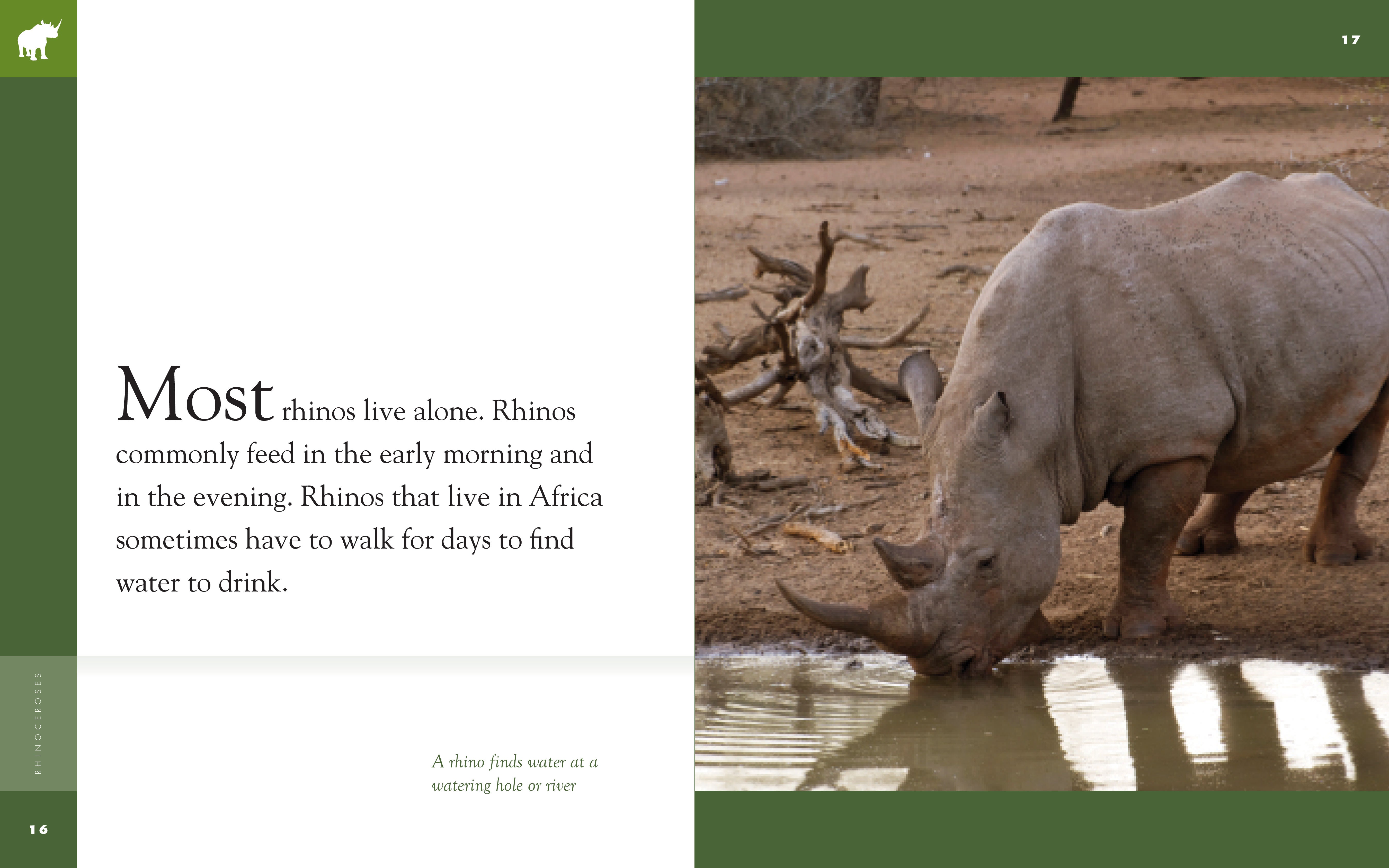 Amazing Animals (2014): Rhinoceroses - Educational Wildlife Documentary DVD | Learn About Rhino Species, Habitats & Conservation | Perfect for Classroom Teaching & Nature Lovers