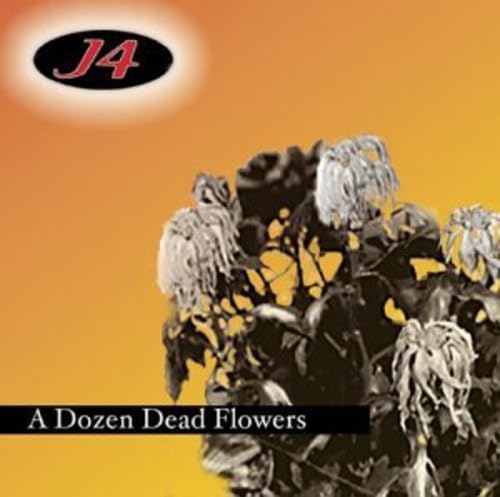 12 Pack of Preserved Dead Flowers - Unique Gothic Home Decor for Dark Aesthetic & Halloween Party Themes