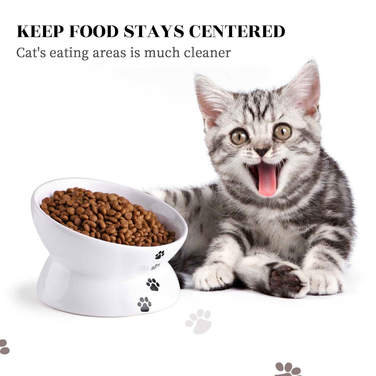 Premium Cat Food Bowls Set of 5 - Stainless Steel Elevated Pet Dishes with Non-Slip Base for Healthy Eating - Perfect for Kittens & Adult Cats at Home or Travel