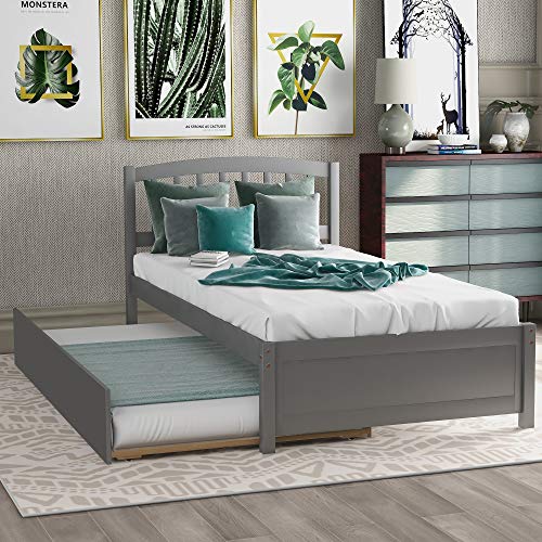 Gray+pine