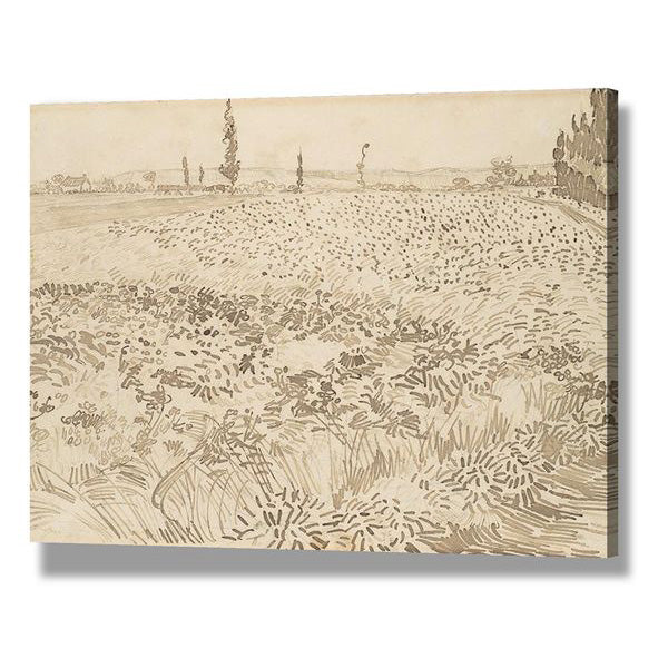 Wheat Field