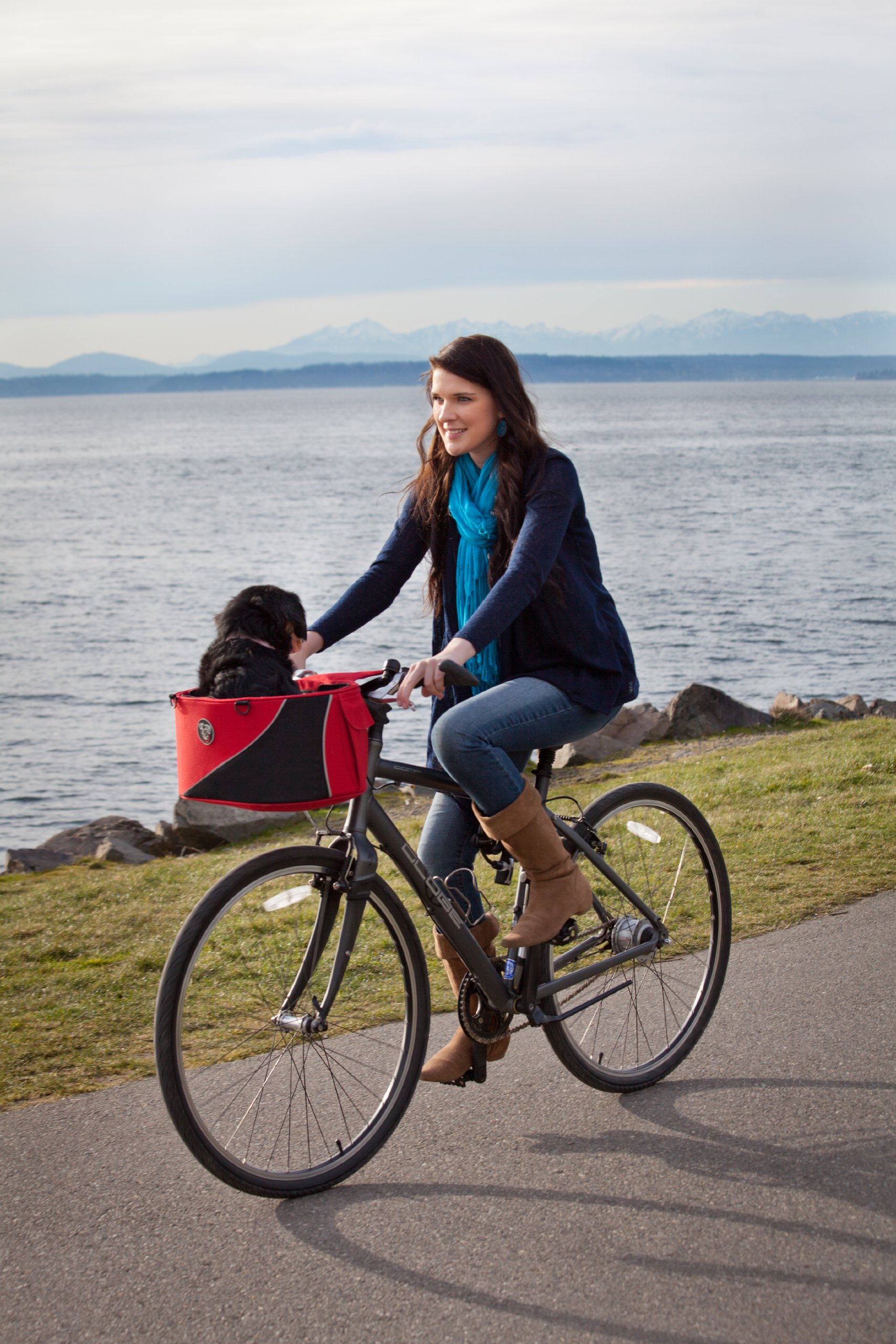 Pet Bike Basket for Dogs & Cats - Red Waterproof & Durable Cocoon Carrier - Perfect for Cycling, Commuting & Outdoor Adventures